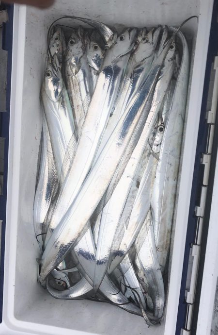 フィッシング　キッタカ 釣果