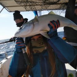 秀漁丸 釣果