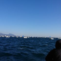 遊漁船 家入 釣果