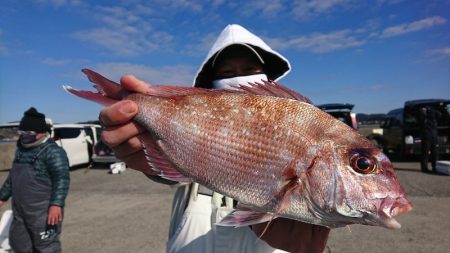 第三共栄丸 釣果