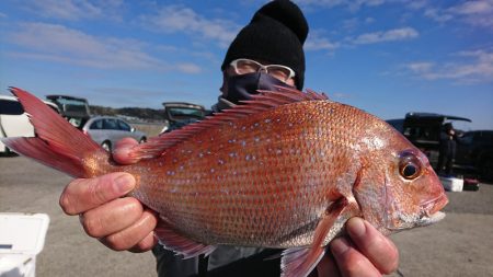 第三共栄丸 釣果
