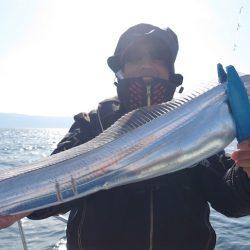 シースナイパー海龍 釣果