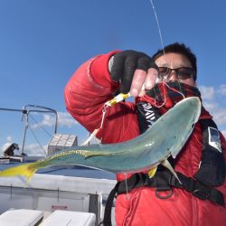 渡船屋たにぐち 釣果