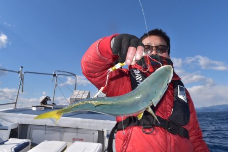 渡船屋たにぐち 釣果