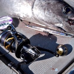 渡船屋たにぐち 釣果