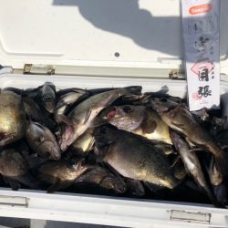 フィッシング　キッタカ 釣果