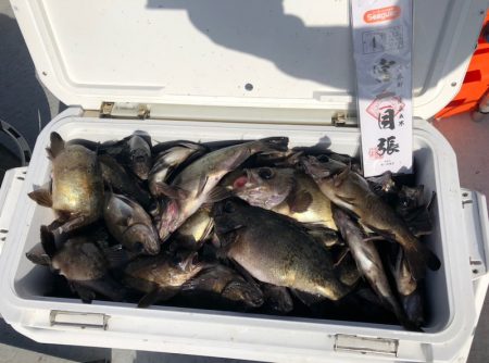 フィッシング　キッタカ 釣果