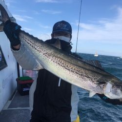 ランスルー 釣果