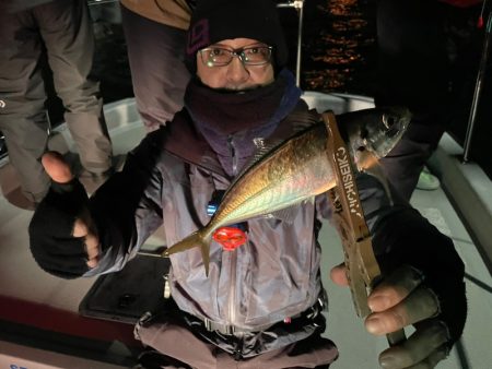 Chase（チェイス） 釣果