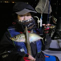 Chase（チェイス） 釣果