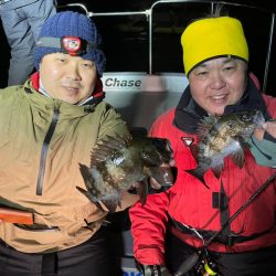 Chase（チェイス） 釣果