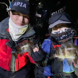 Chase（チェイス） 釣果