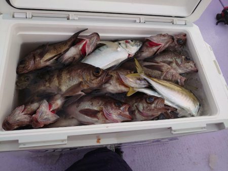 海龍丸（石川） 釣果