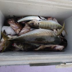 海龍丸（石川） 釣果