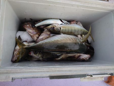 海龍丸（石川） 釣果