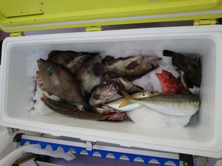 海龍丸（石川） 釣果