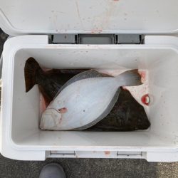 遊漁船高橋 釣果