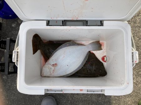 遊漁船高橋 釣果