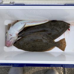 遊漁船高橋 釣果