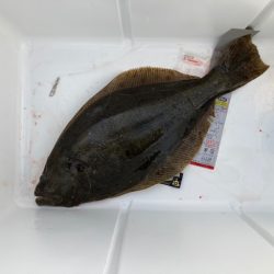 遊漁船高橋 釣果