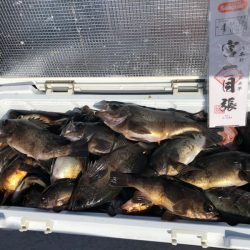 フィッシング　キッタカ 釣果