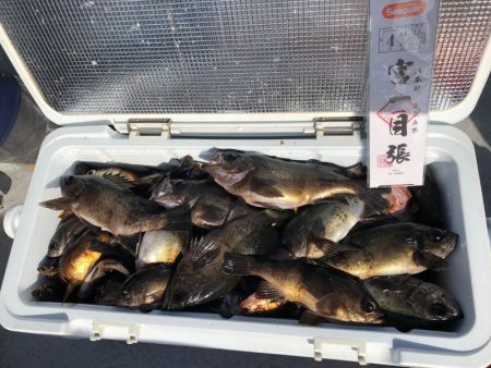 フィッシング　キッタカ 釣果