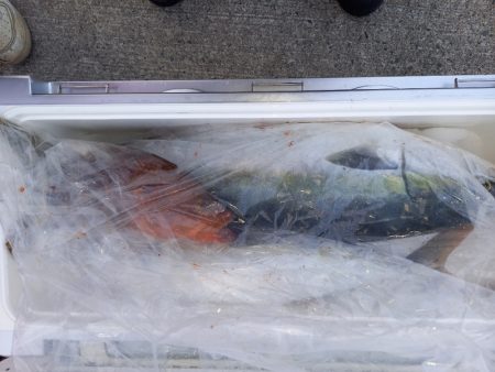 第二龍勢丸 釣果