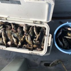 フィッシング　キッタカ 釣果