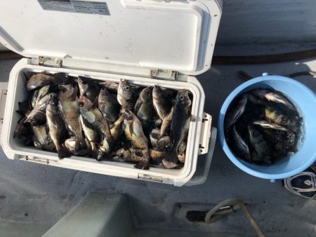 フィッシング　キッタカ 釣果