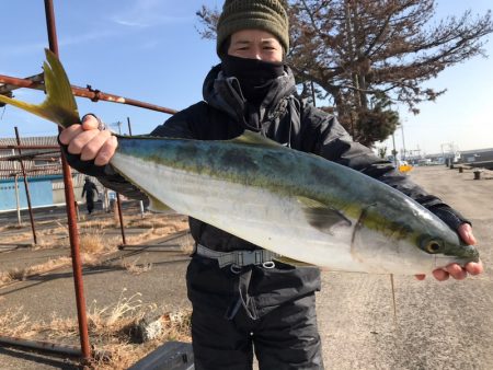 ランスルー 釣果