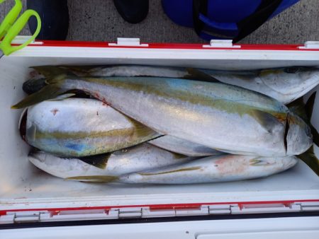 第二龍勢丸 釣果