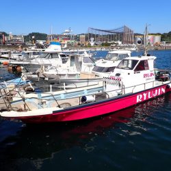 龍神丸(鹿児島) 釣果