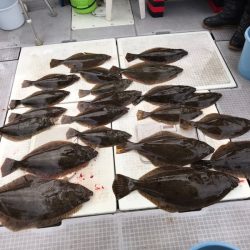 遊漁船メテオ 釣果