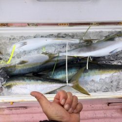 阿波哲 釣果