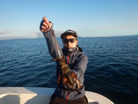 きずなまりん 釣果