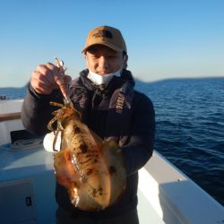 きずなまりん 釣果