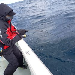 アマテラス 釣果