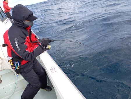 アマテラス 釣果