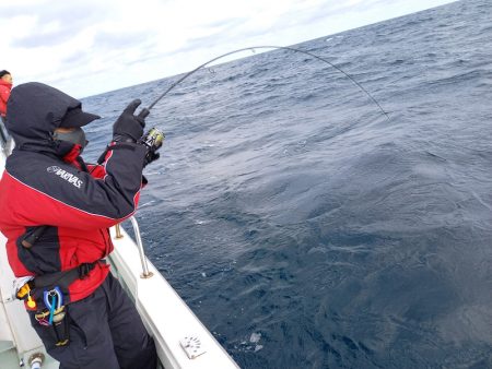 アマテラス 釣果