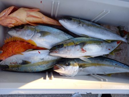 第二龍勢丸 釣果