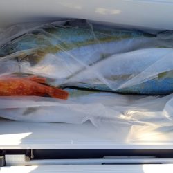 第二龍勢丸 釣果