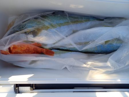 第二龍勢丸 釣果