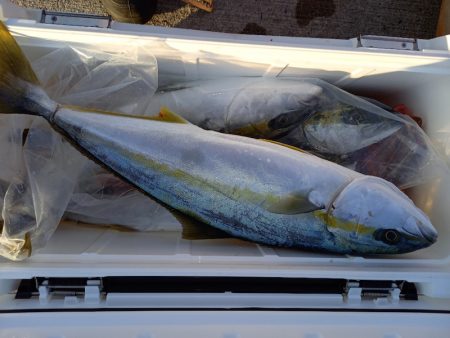 第二龍勢丸 釣果