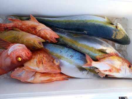 第二龍勢丸 釣果