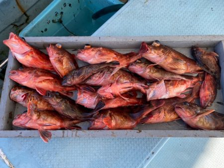 岡田釣船 八英丸 釣果