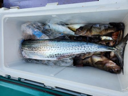 海龍丸（石川） 釣果
