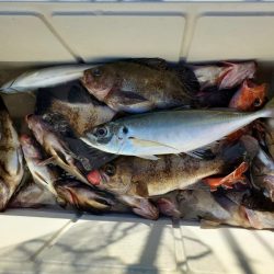 海龍丸（石川） 釣果