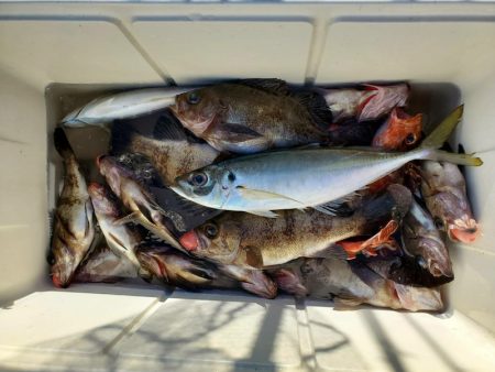 海龍丸（石川） 釣果
