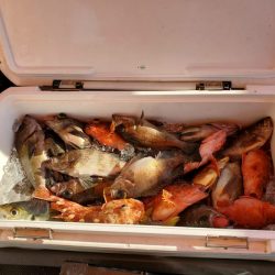 海龍丸（石川） 釣果
