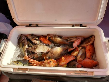 海龍丸（石川） 釣果